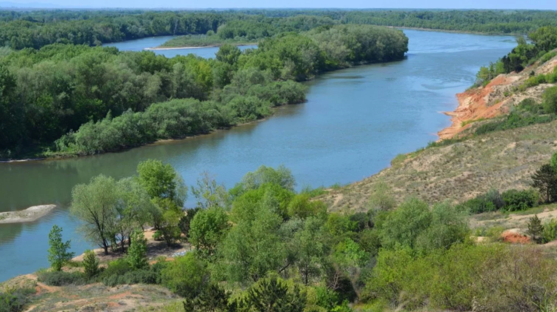 Семей Орманы